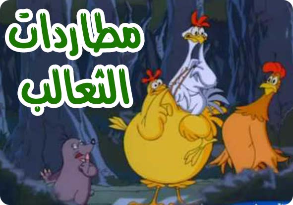 ليلة الدجاجات